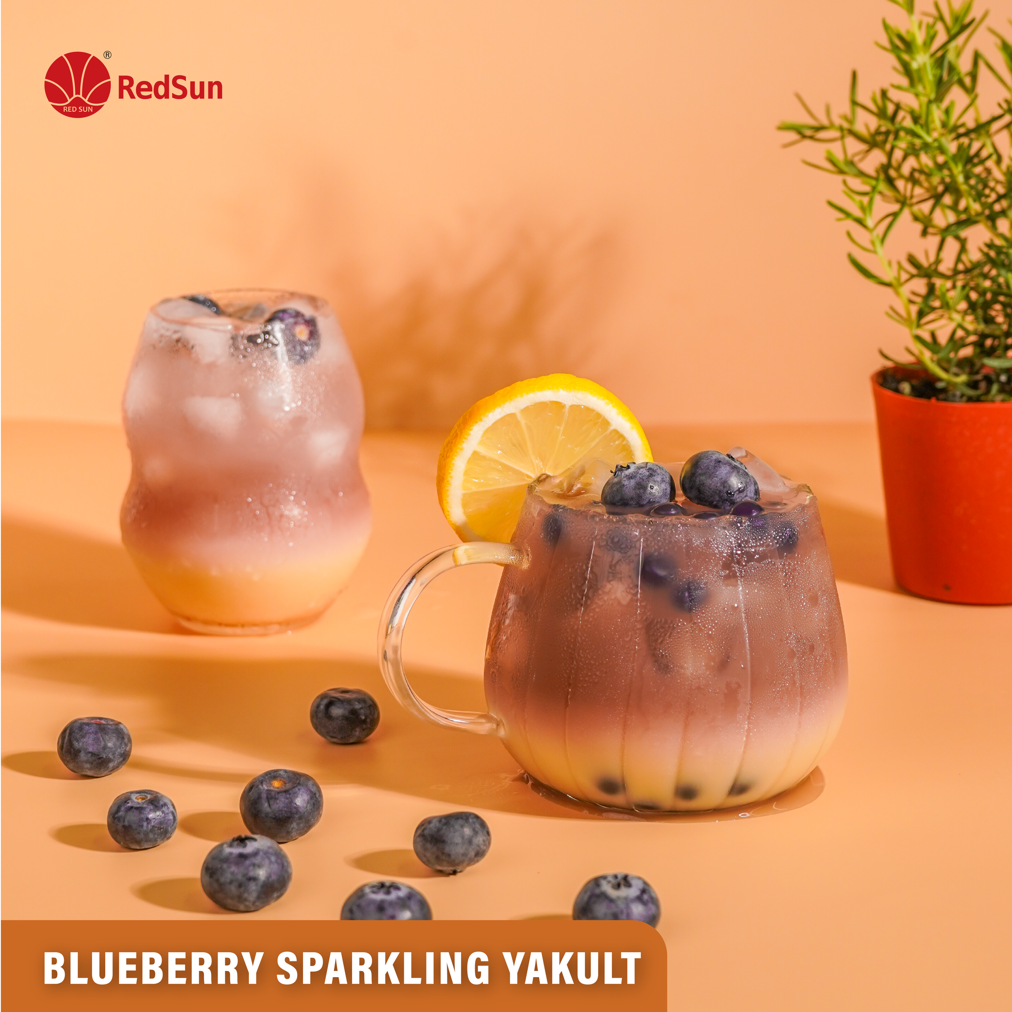 Blueberry Syrup 5KG (11LBS) (Bottle)