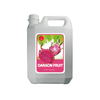 Dragon Fruit Syrup 5KG (11LBS) (Bottle)